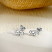 Electroplated Platinum